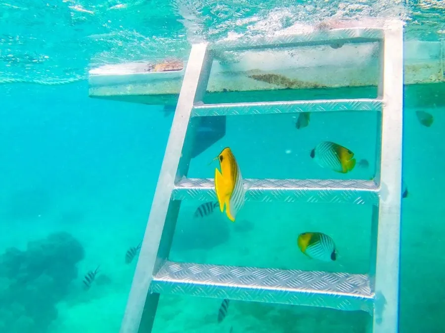 10 Best Boat & Sailing Tours in Rarotonga & the Cook Islands ⛵ [2023]