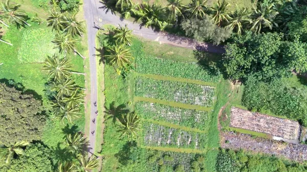 The Cycling Times & Distances in Rarotonga & the Cook Islands