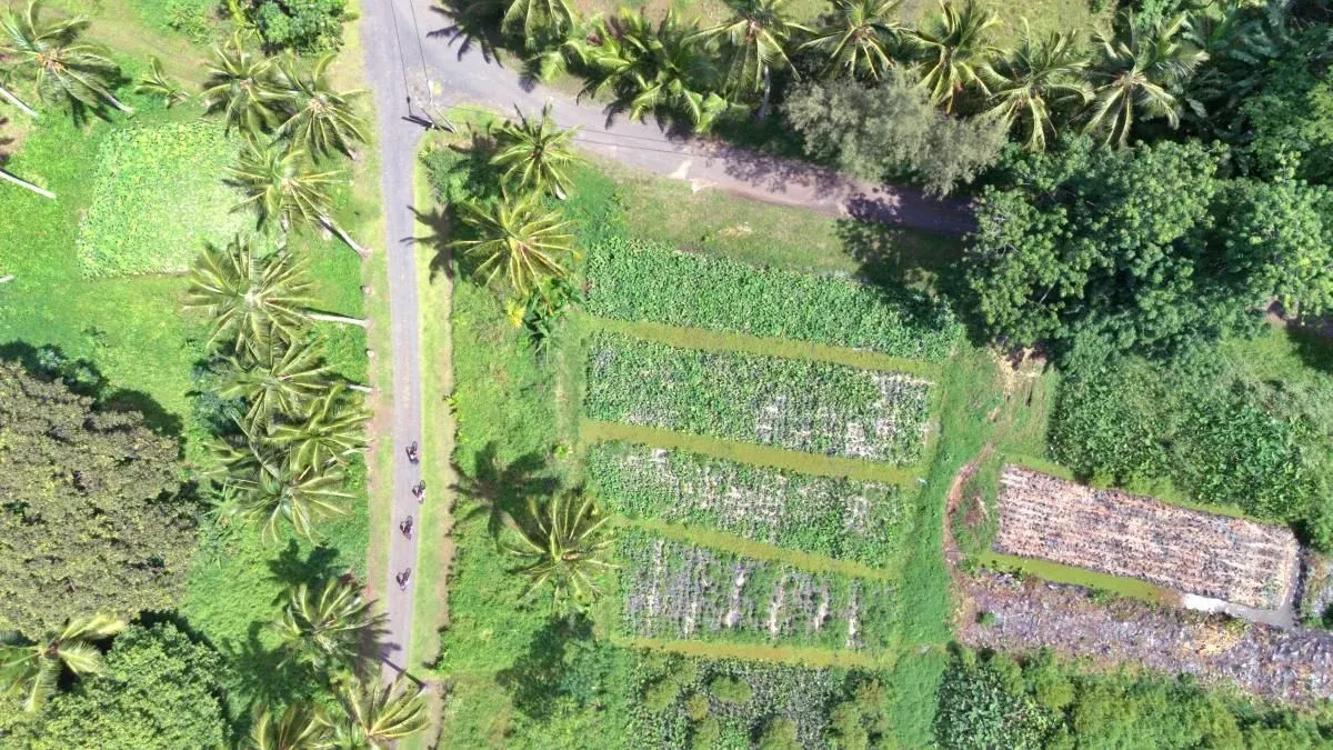 The Cycling Times & Distances in Rarotonga & the Cook Islands