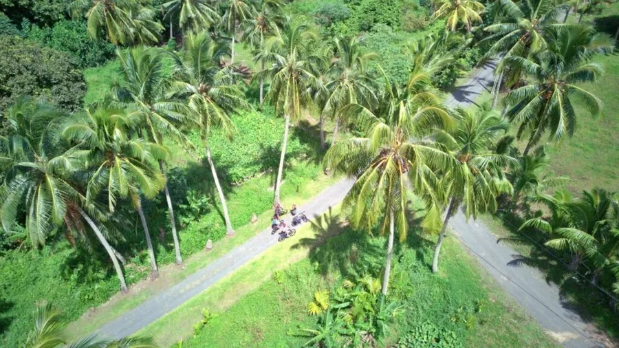 32 Things to Do on Rarotonga with Kids 👪 [2025]