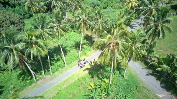 The Ultimate Guide to Mountain Biking in Rarotonga & the Cook Islands