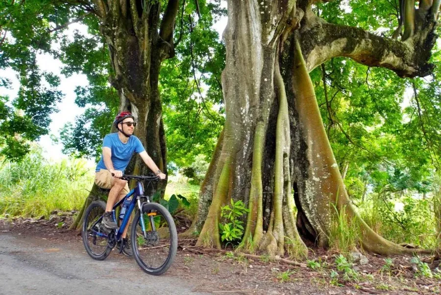 The Ultimate Guide to Mountain Biking in Rarotonga & the Cook Islands