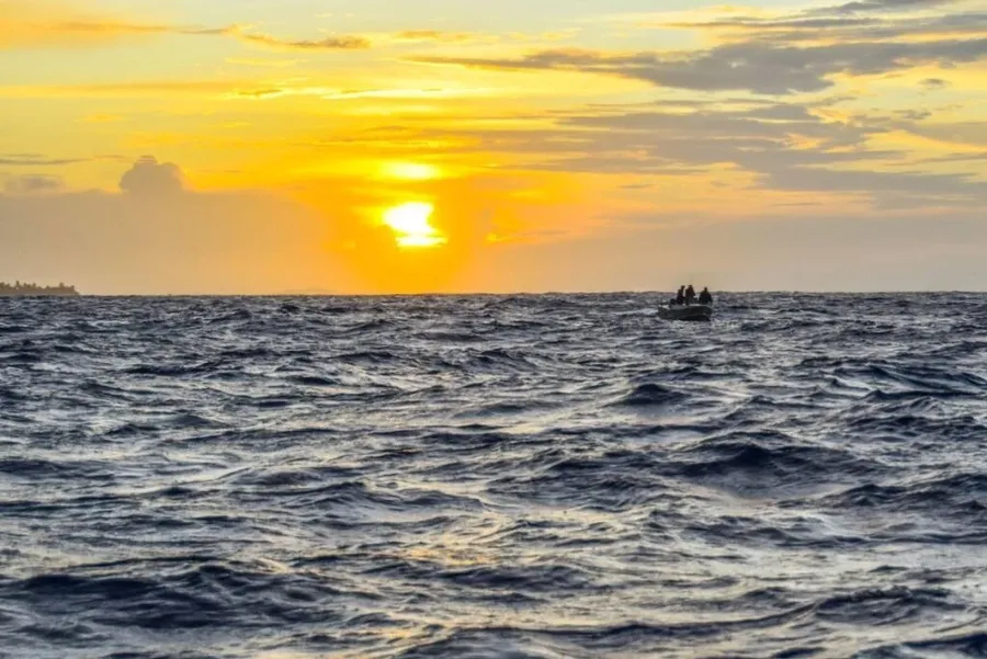 The Complete Guide to Spearfishing in Rarotonga & the Cook Islands