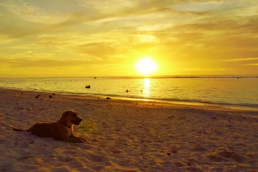 Rarotonga & the Cook Islands Weather, Seasons & Climate + Weather by Month