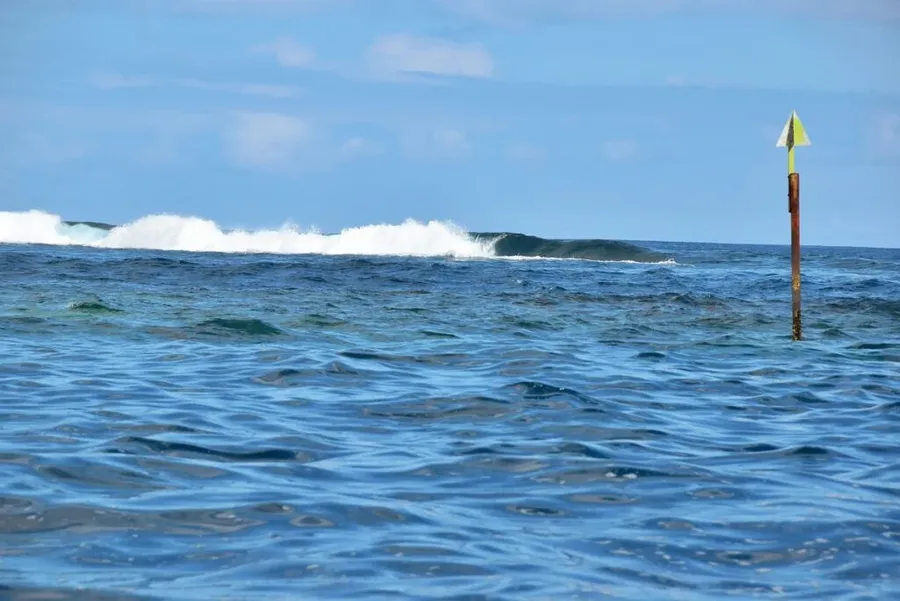 The Best Time to Surf in Rarotonga & the Cook Islands