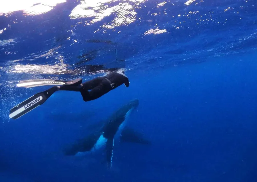 10 Best Adventure Activities in Rarotonga & the Cook Islands ????