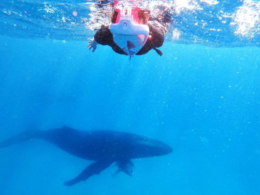 10 Adults-Only Activities on Aitutaki