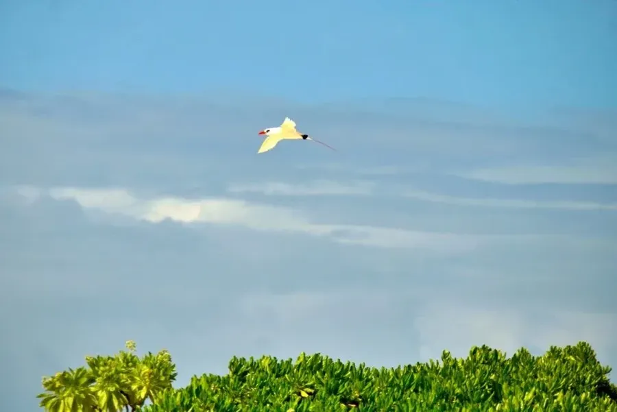 What are the 15 Islands in the Cook Islands?