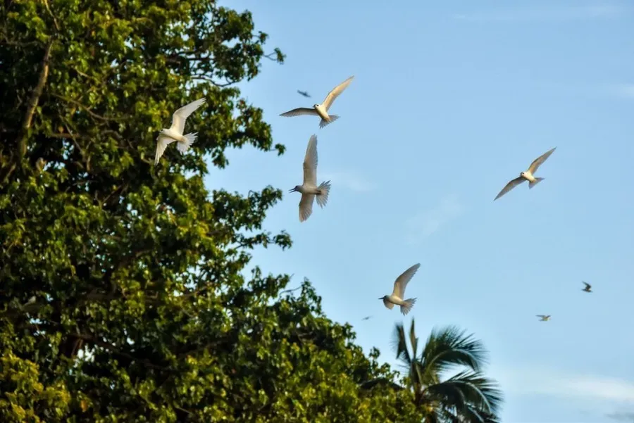 10 Best Things to Do in the Northern Cook Islands