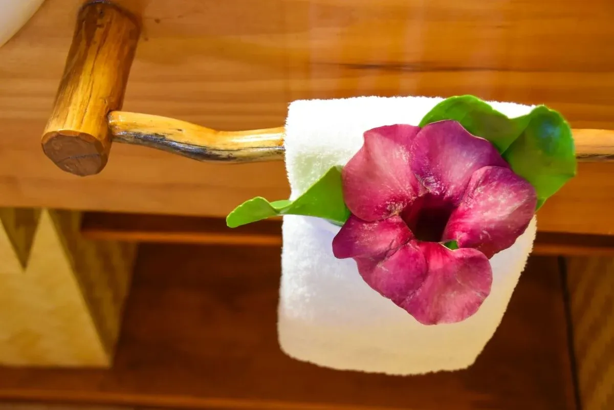 10 Best Guesthouses in Rarotonga & the Cook Islands