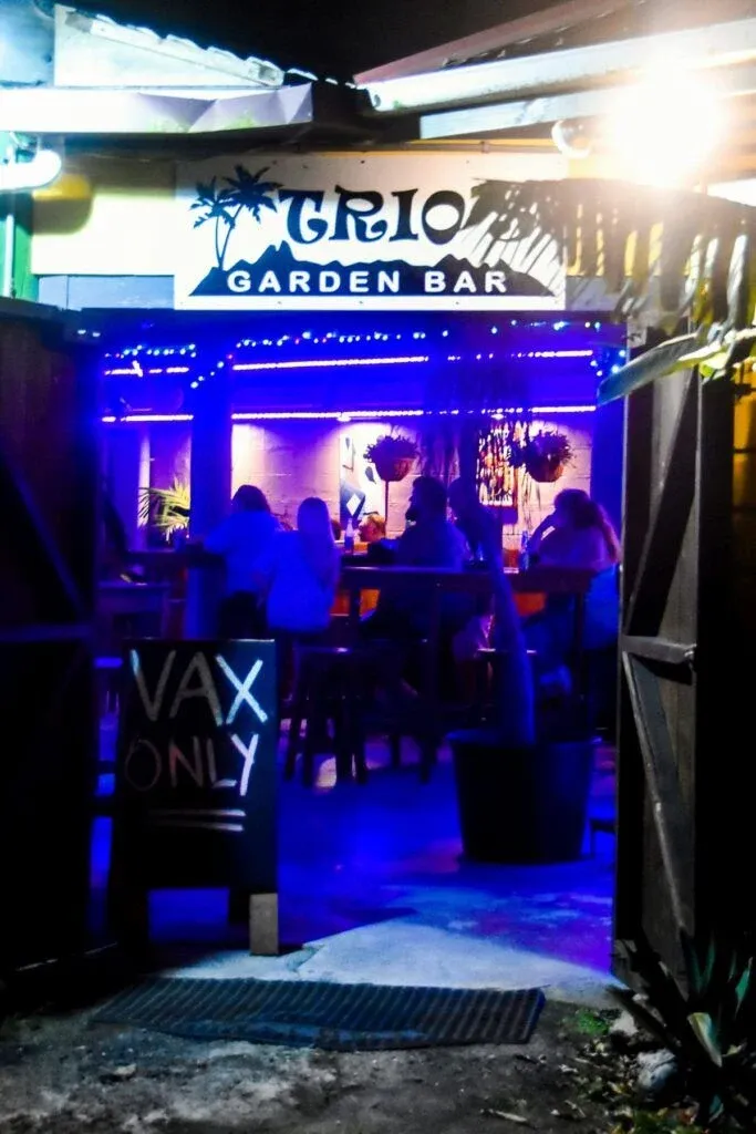 10 Best Bars on Rarotonga