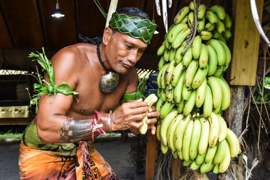 The Complete Travel Guide to Rarotonga for Families