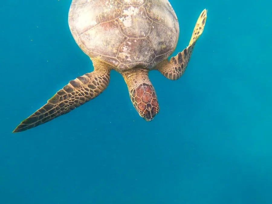 10 Things to Do in Aitutaki on a Rainy Day