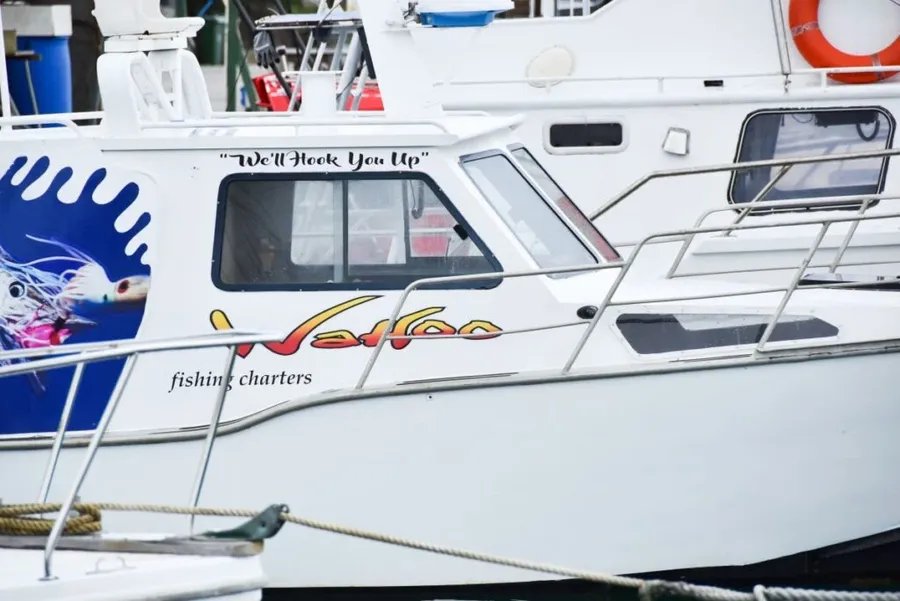 7 Best Whale Watching (& Swimming) Tours in the Cook Islands ????
