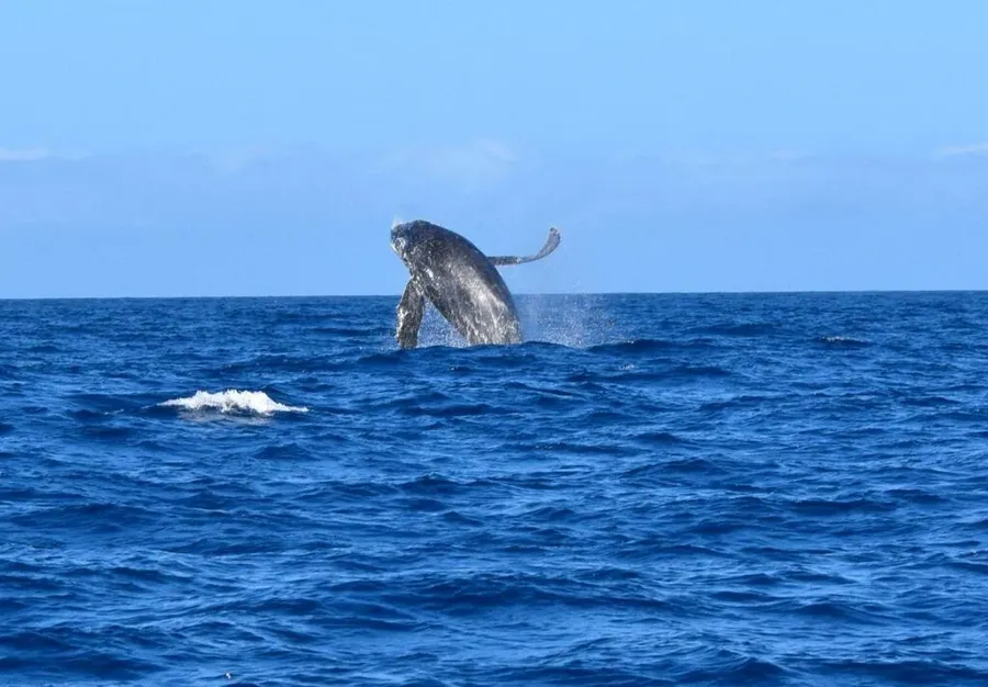 20 Free & Cheap Things to Do on Rarotonga ???? [2023]