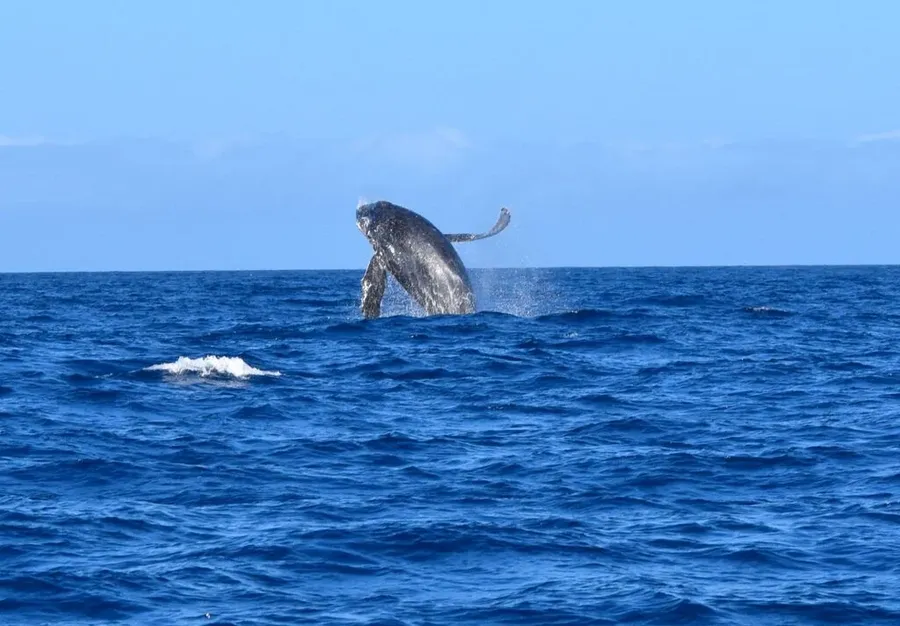 20 Free Things to Do in the Cook Islands