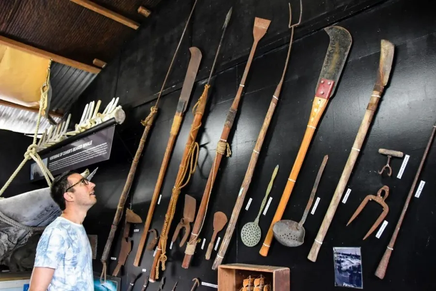 5 Best Museums in Rarotonga & the Cook Islands ????️ [2023]