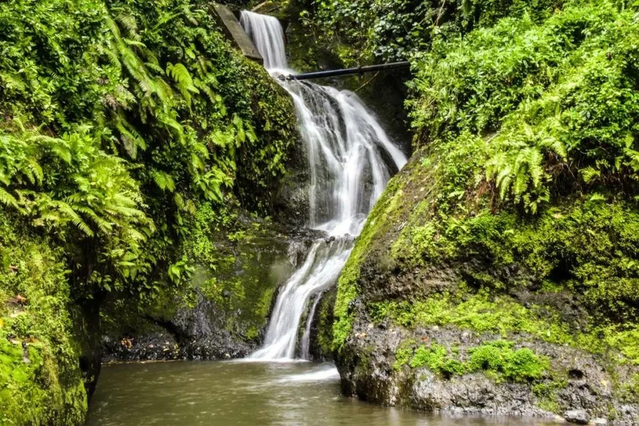 30 Things to Do on Rarotonga with Kids ???? [2023]