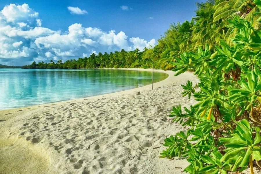 Tips for Choosing the Best Holiday Home in Rarotonga & the Cook Islands