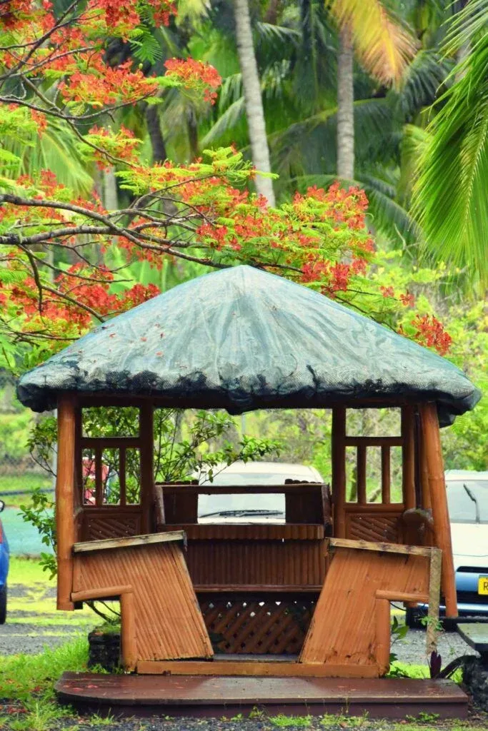 The Bus in Rarotonga & the Cook Islands: Bus Fares, Timetable & More