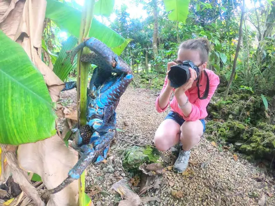 10 Best Things to Do in the Northern Cook Islands