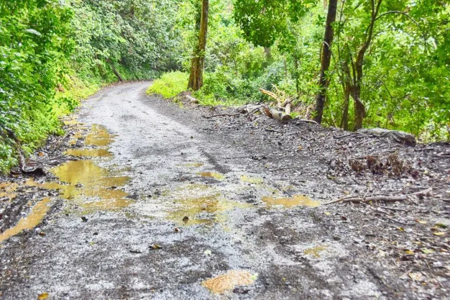 10 Tips for Riding a Scooter in Rarotonga & the Cook Islands