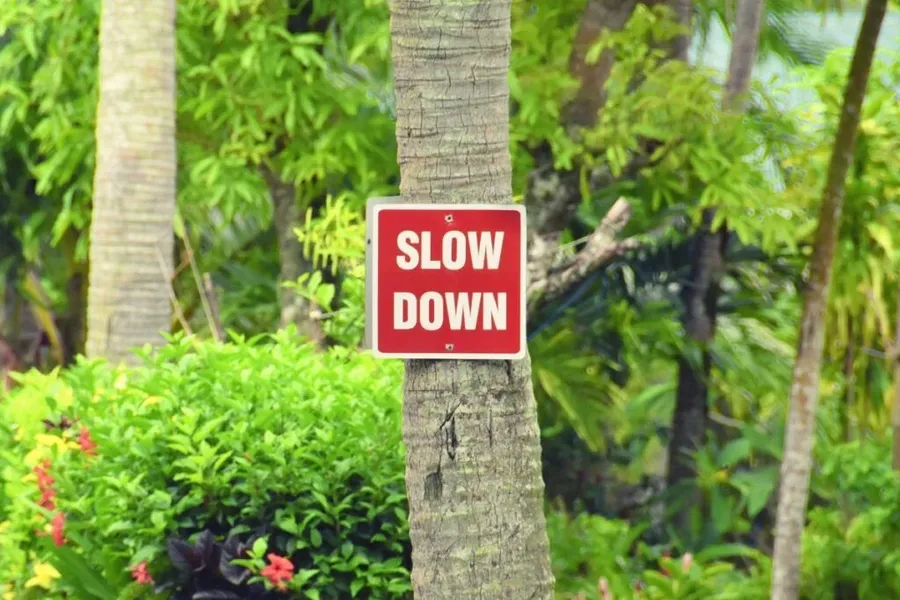 How to Drive in Rarotonga & the Cook Islands + 10 Road Rules ⛔