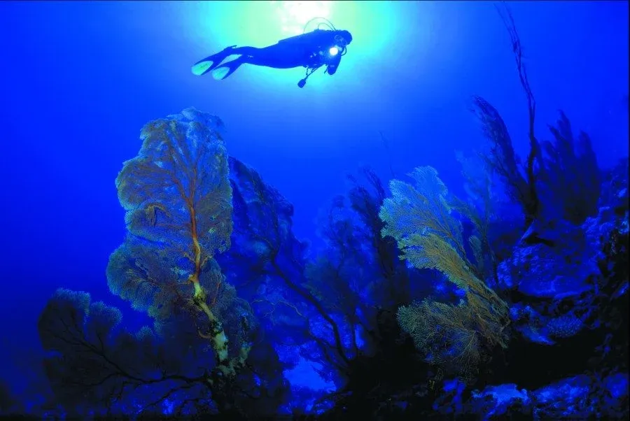 101 Things to Do in Niue: The Ultimate List