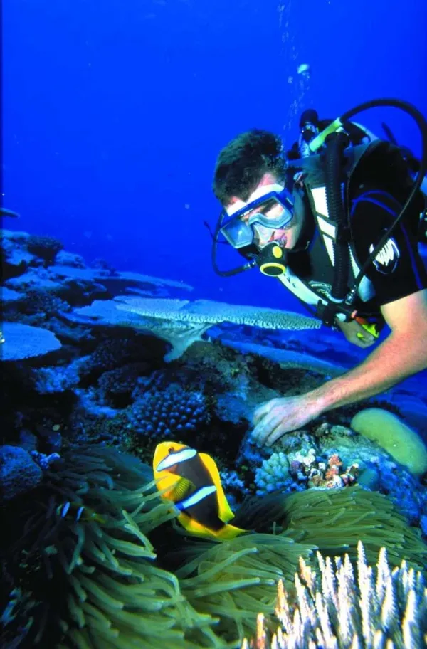 The Guide to Scuba Diving in Niue