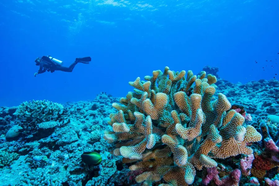 Niue Luxury Itinerary: 14 Days
