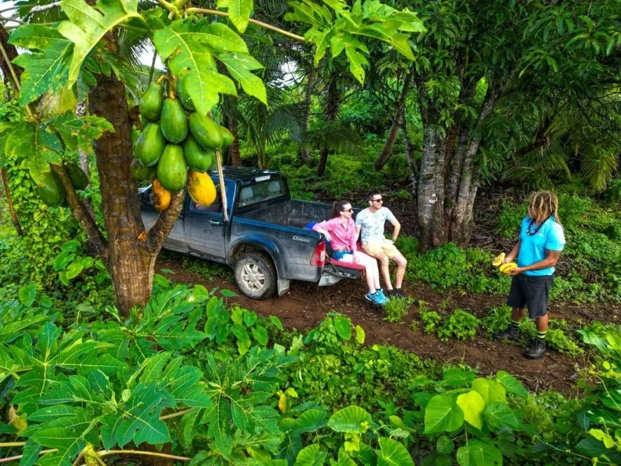 10 Must-Dos in Niue