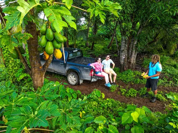 10 Must-Do Tours in Niue [2023]