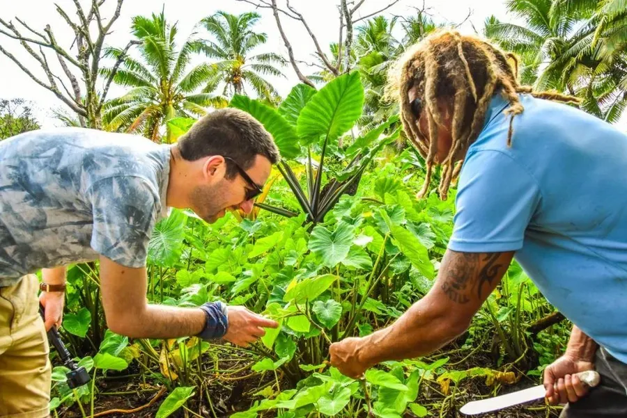 5 Best Culture Tours in Niue [2023]