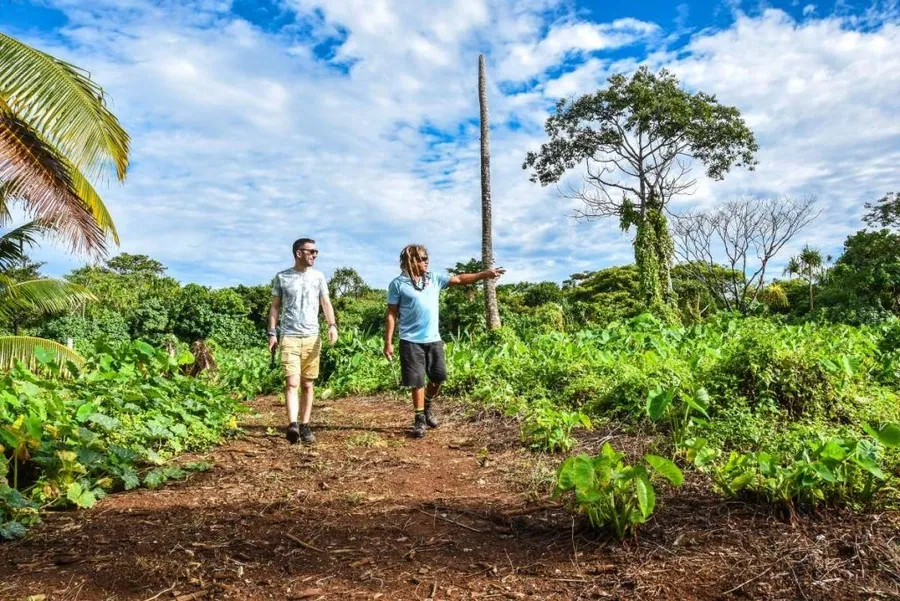 Niue Foodie Itinerary: 5 Days