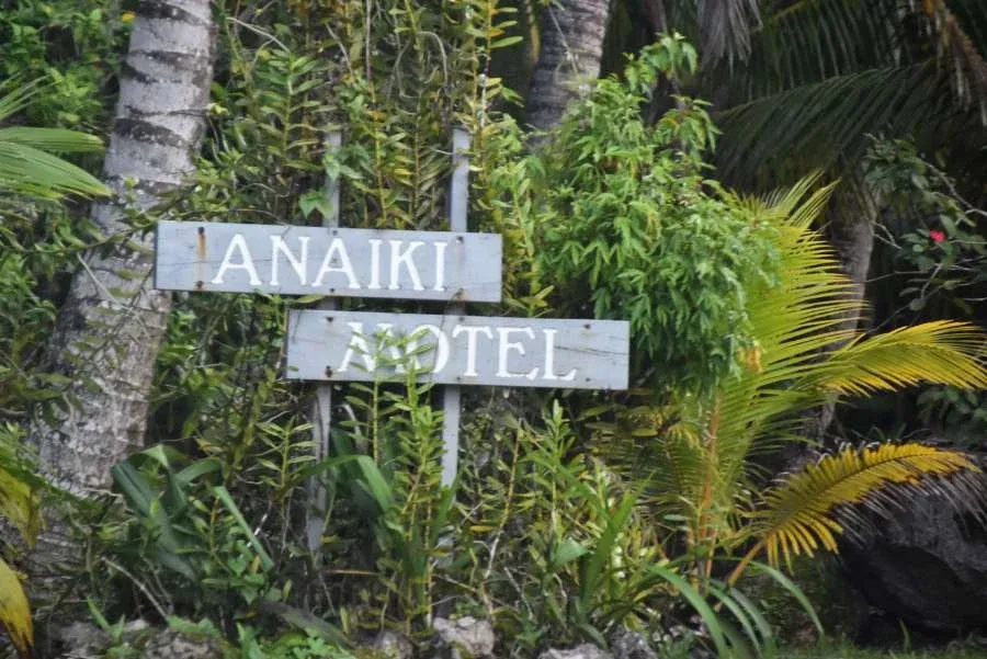 10 Amazing Lookouts for Watching Whales in Niue