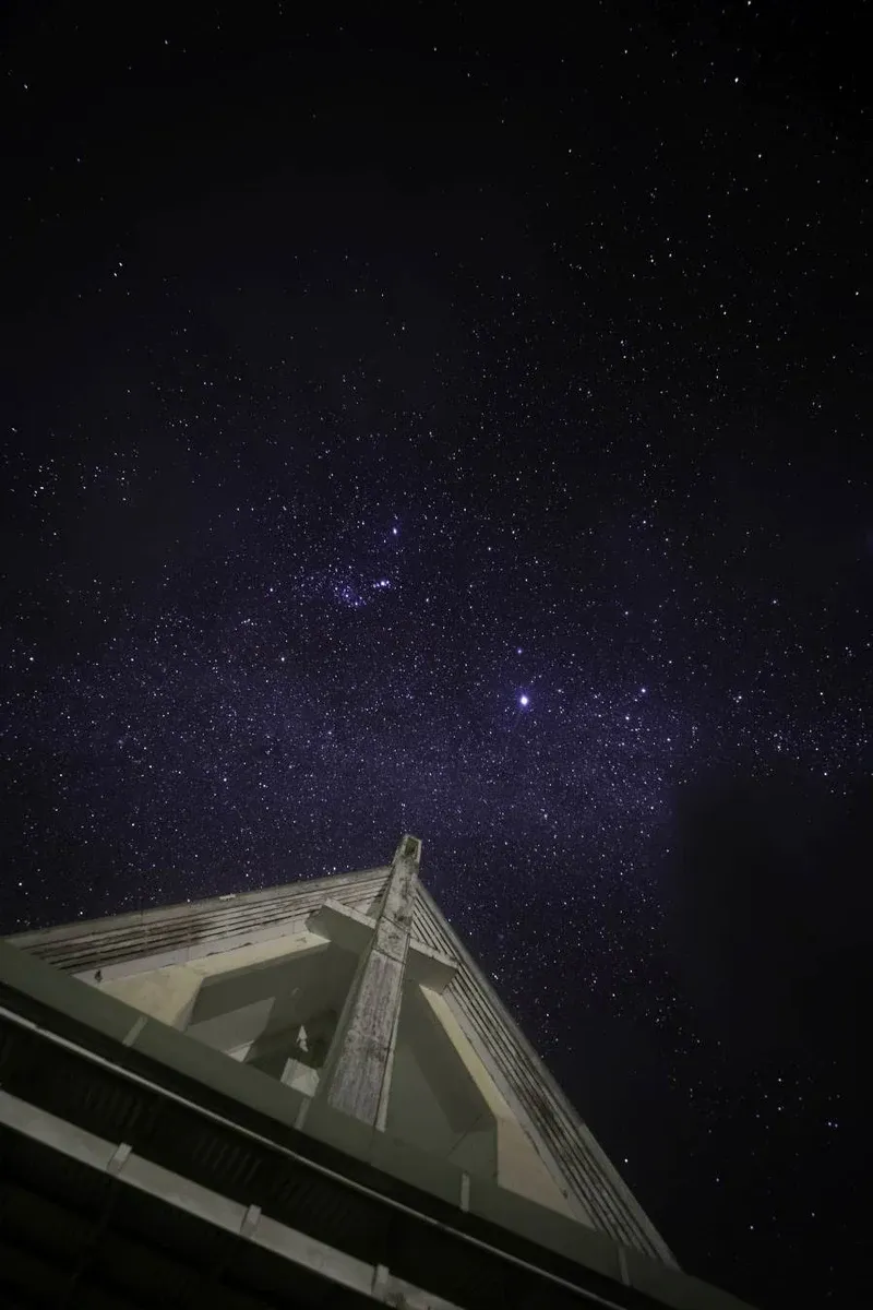 The Ultimate Guide to the Niue Nightlife