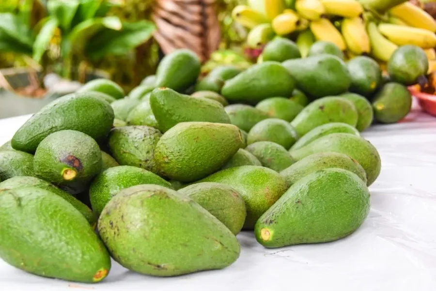 9 Exotic Fruits in Niue You Have to Try