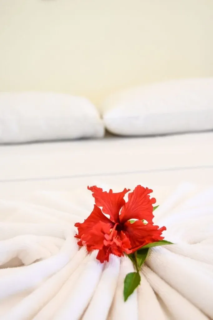 10 Best Holiday Homes in Niue [2025]
