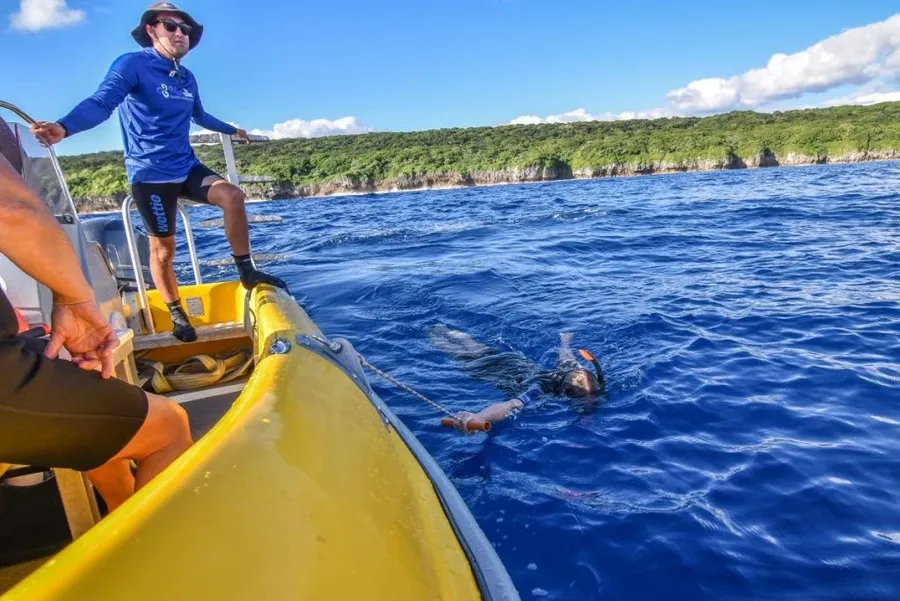 The Guide to Swimming with Dolphins in Niue