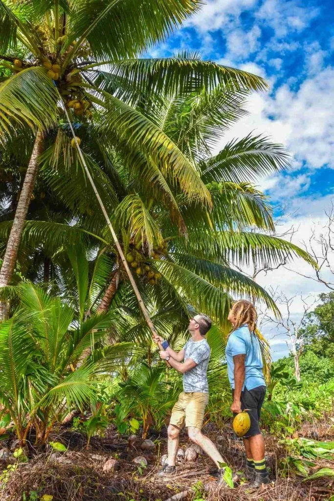 7 Best Nature Tours in Niue