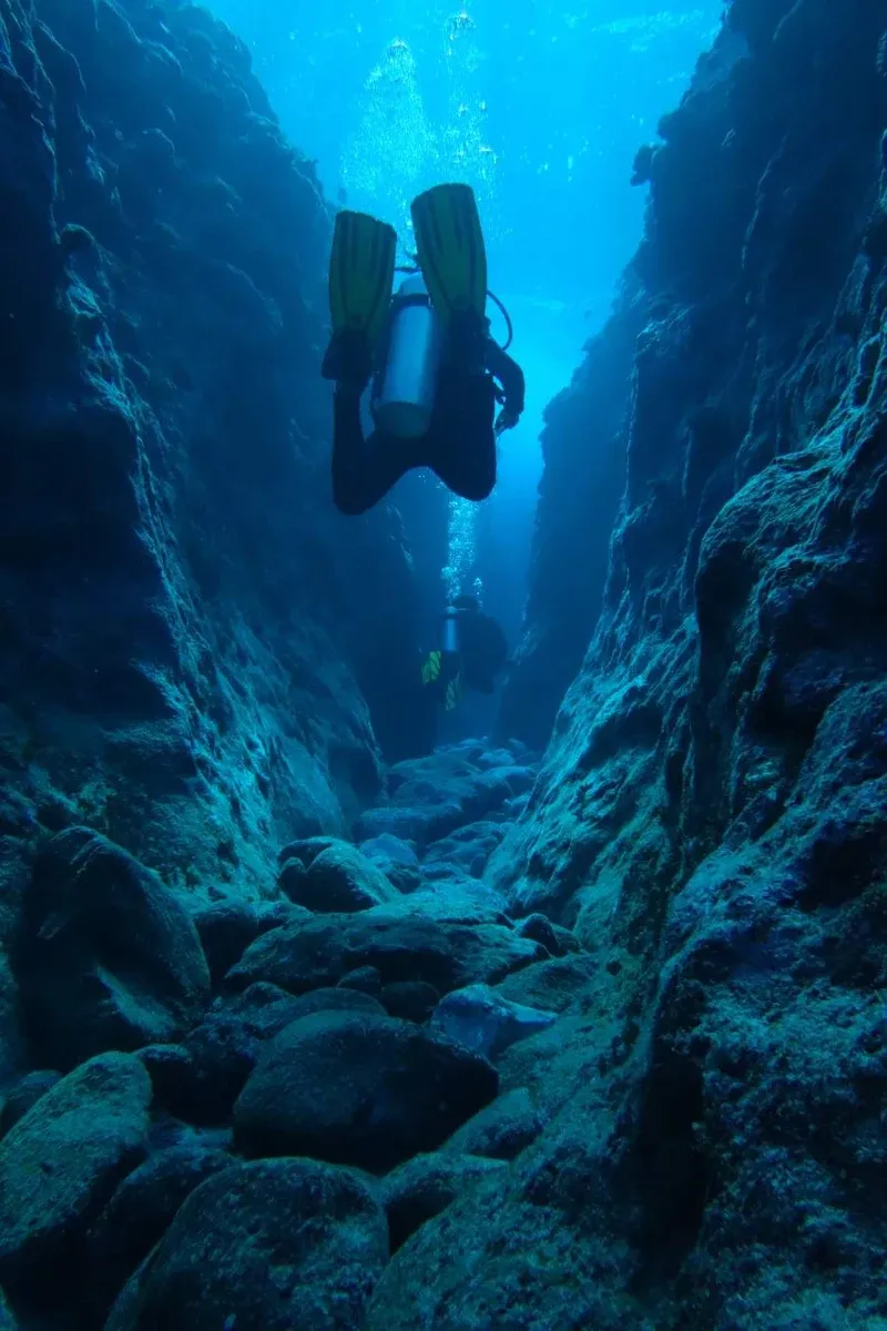10 Best Dive Sites in Niue