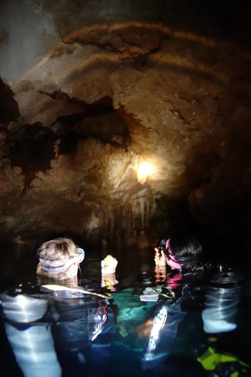 10 Epic Things to Do in Niue