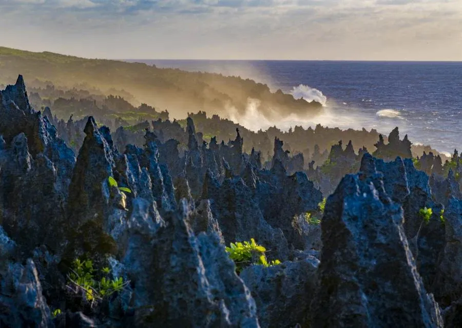 Niue Luxury Itinerary: 14 Days