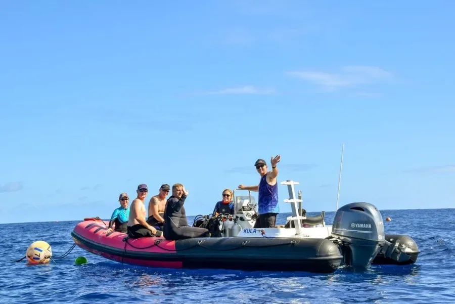 The Best Scuba Diving Tours in Niue [2023]