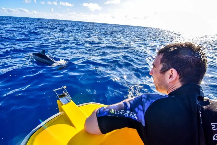 The Guide to Swimming with Dolphins in Niue