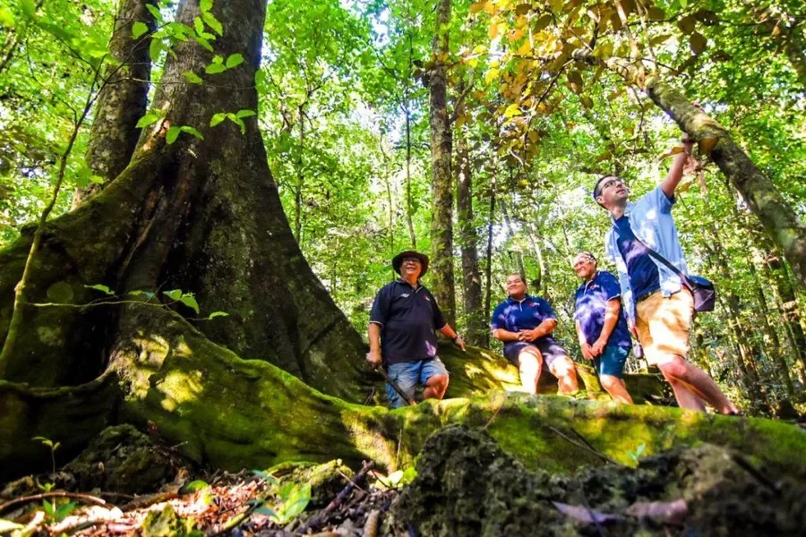 10 Must-Dos in Niue