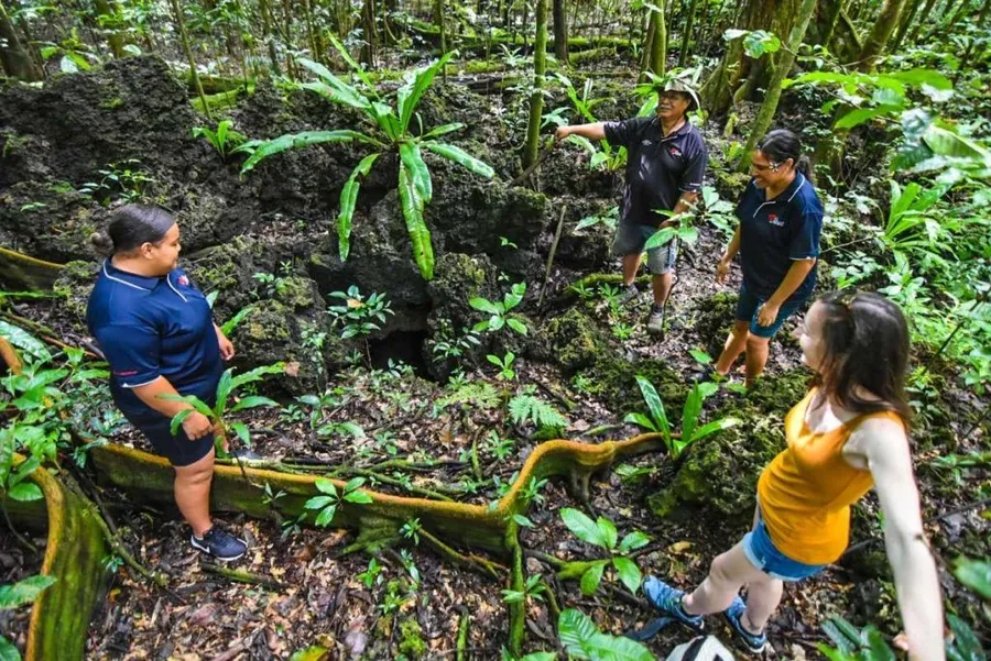 10 Must-Do Tours in Niue [2023]