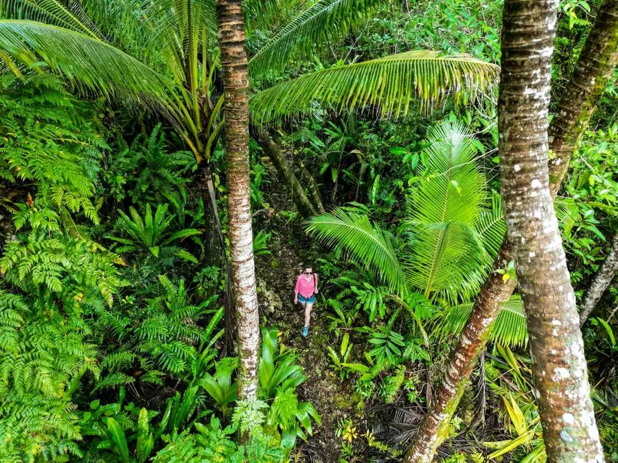 10 Tips for Walking & Hiking in Niue