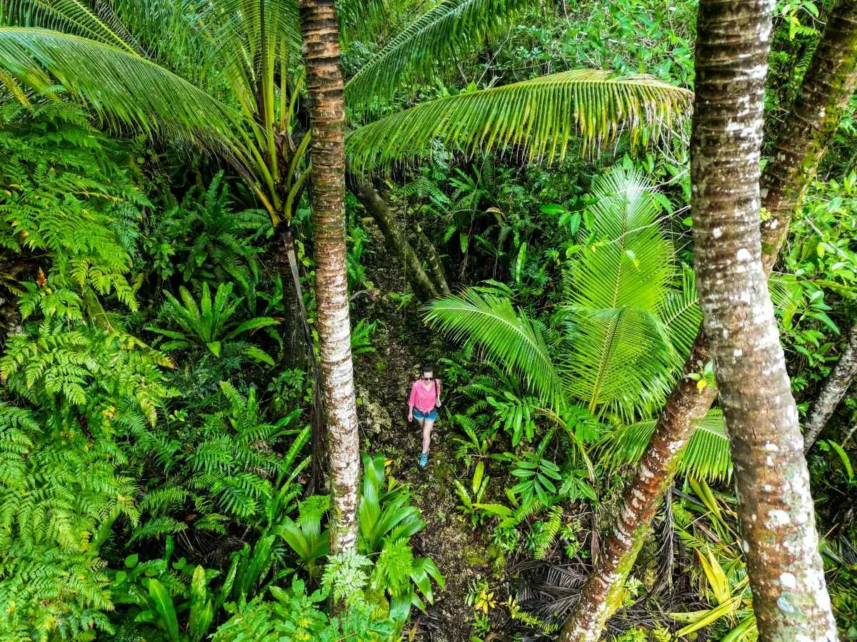 10 Tips for Walking & Hiking in Niue