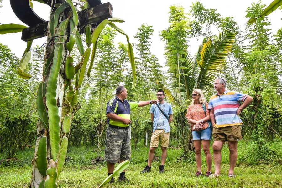 Niue Foodie Itinerary: 7 Days / One Week